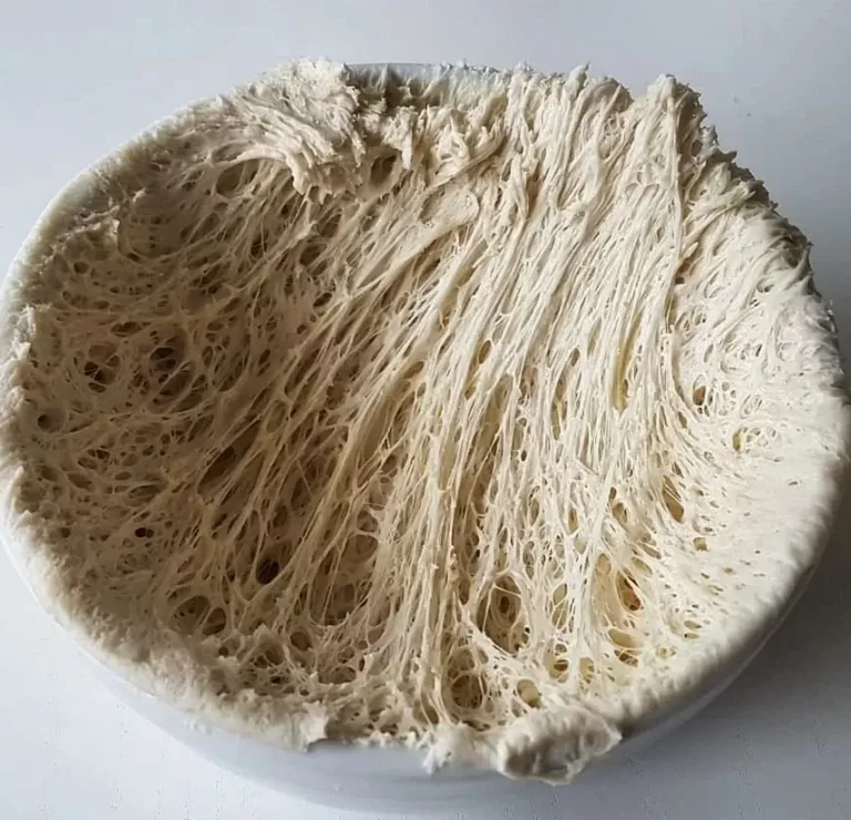 A bowl with dough, showing the gluten network