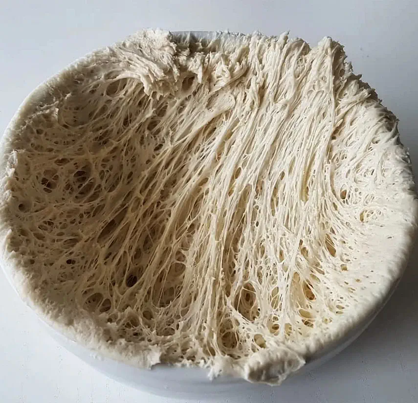A bowl with dough, showing the gluten network