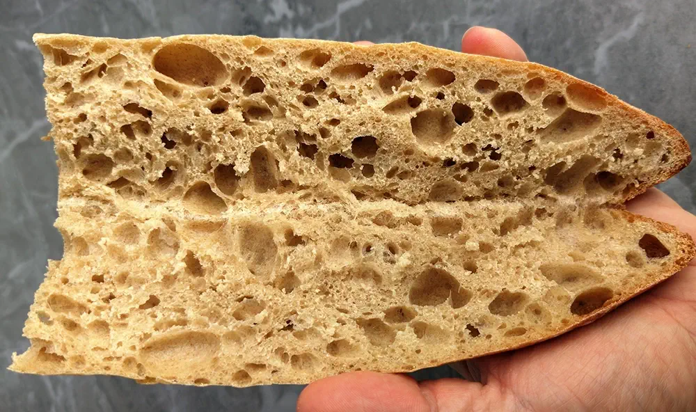 The internal crumb structure of a baguette made with poolish