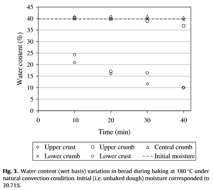 A graph showing moisture content in different sections of bread during baking