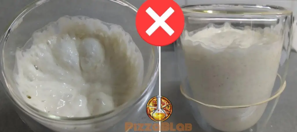 A picture of an overfermented poolish preferment