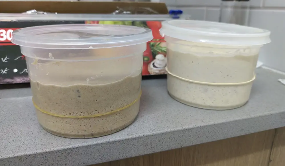Two poolish preferments