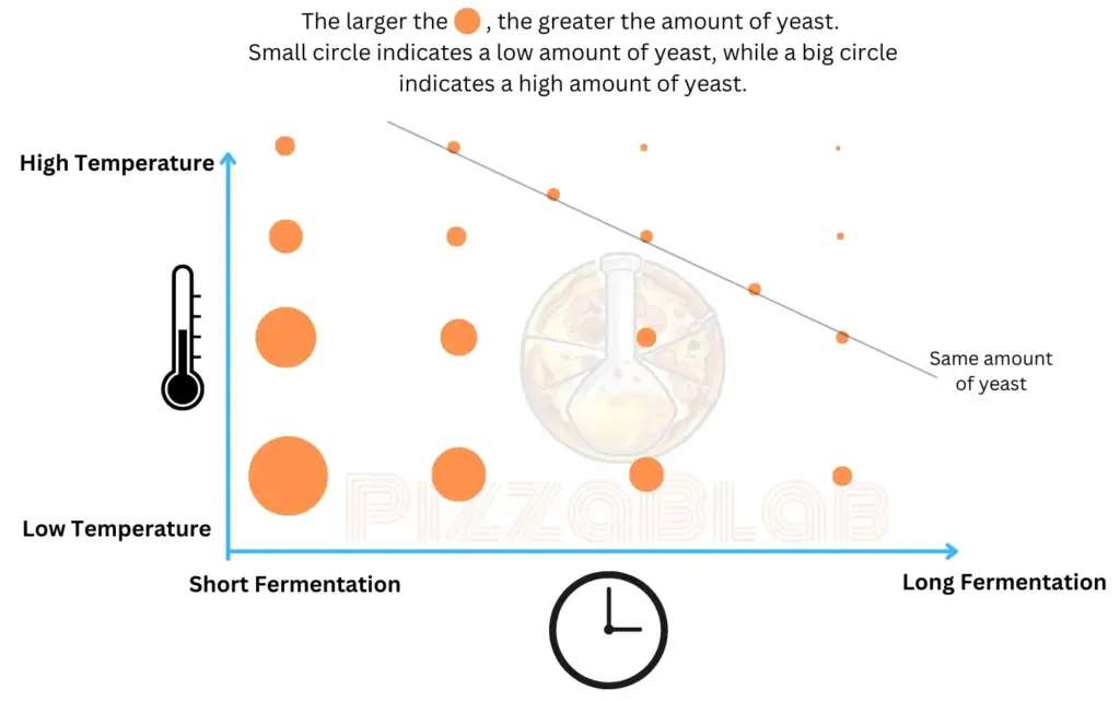 A graph illustrating the relationship between the amount of yeast at different fermentation durations and temperatures