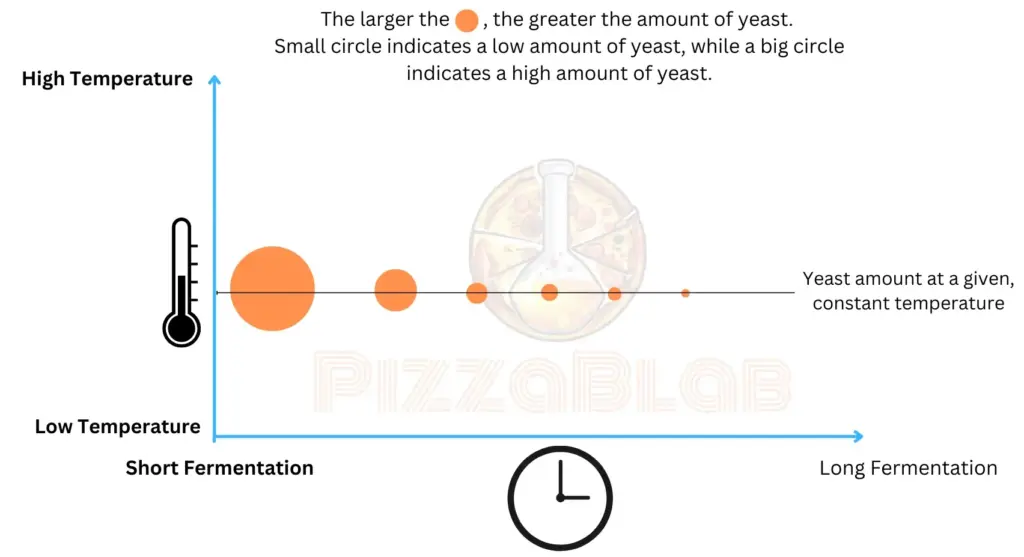 A graph illustrating the relationship between the amount of yeast at different fermentation durations, given a fixed fermentation temperature