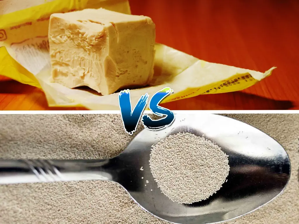Dry yeast vs fresh yeast