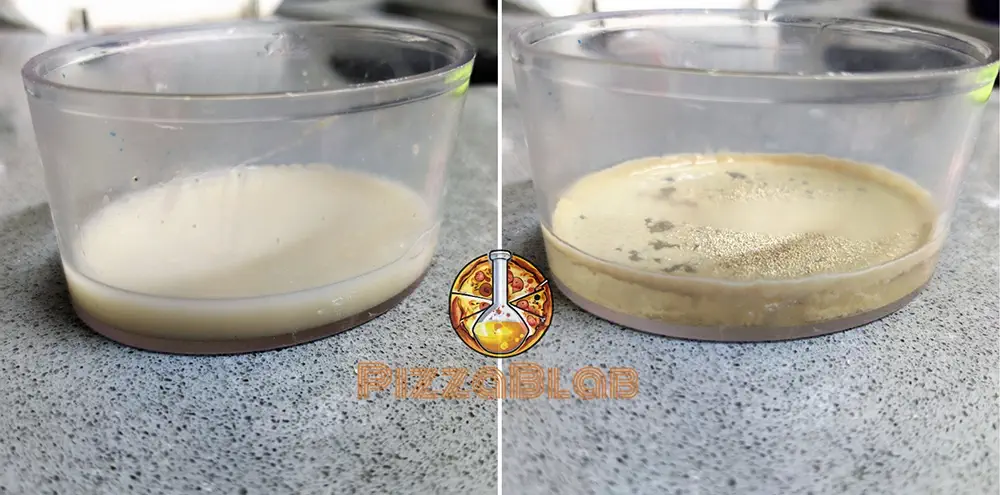 Instant yeast before and after dissolving in hot water