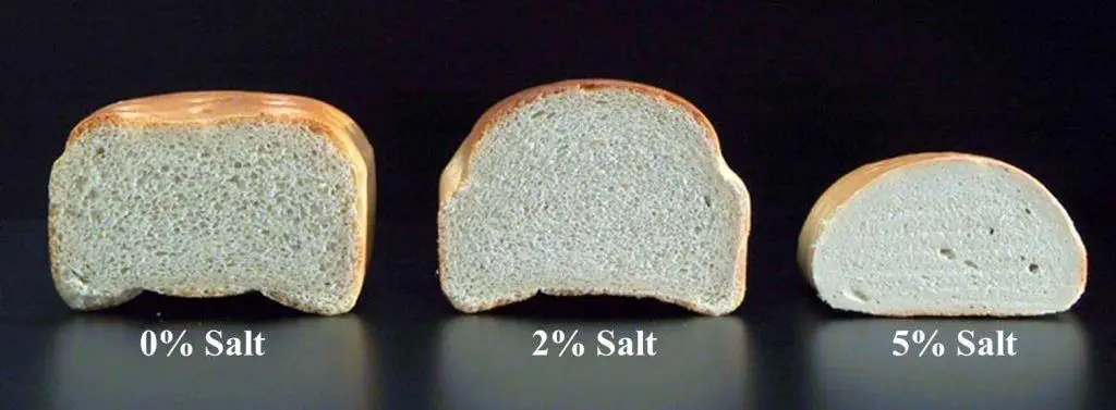 three loaves of of bread containing different salt levels