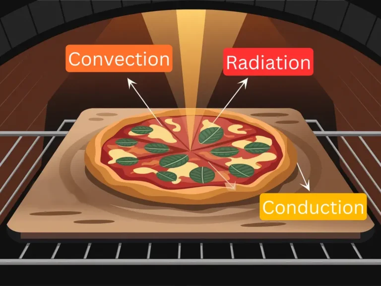A picture illustrating the thermodynamics of pizza baking: conduction baking the bottom, convection and radiation baking the top