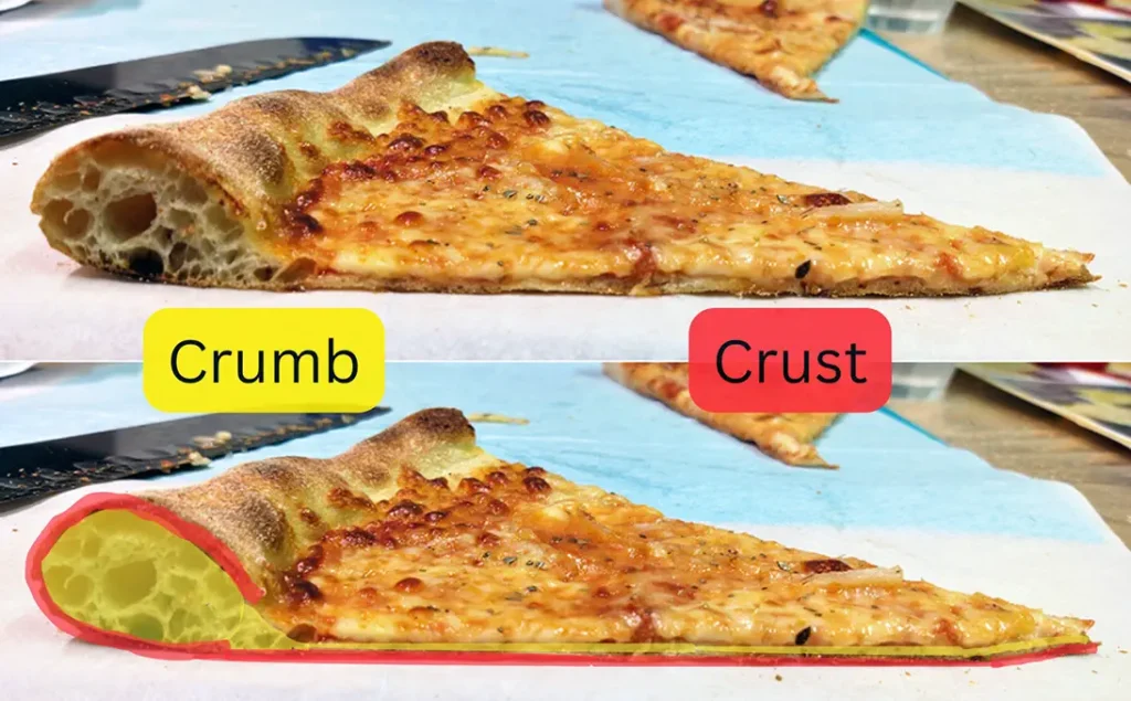 Illustration of the crust and crumb areas in a pizza slice