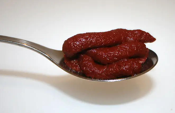 Tomato paste on a spoon