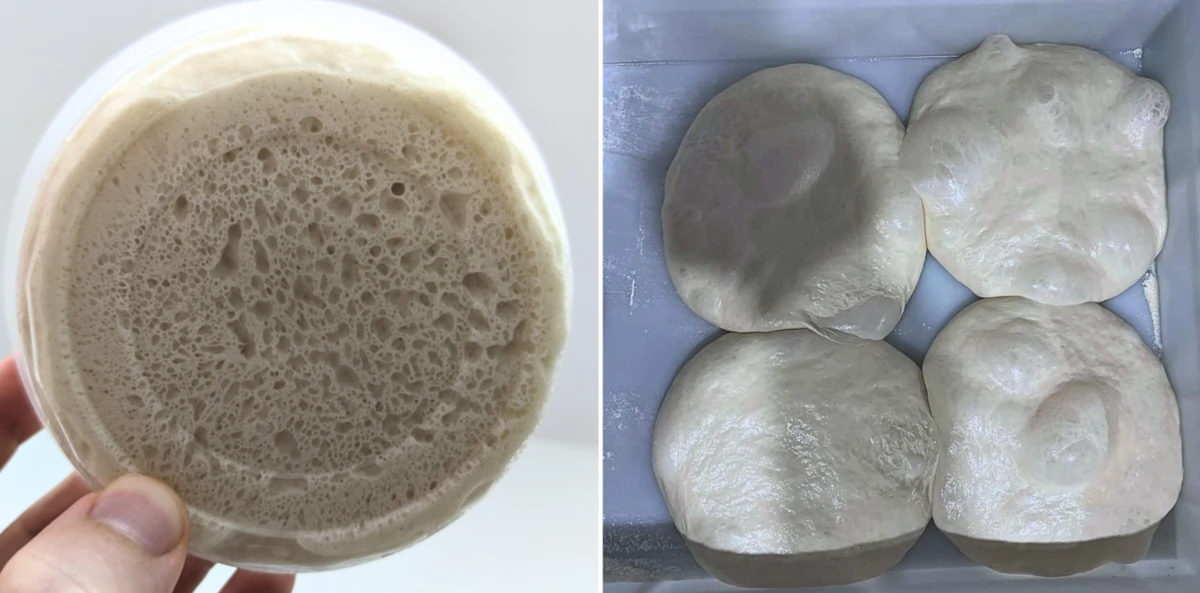 A bubbly, over-fermented pizza dough
